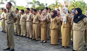 Lowongan CPNS Di Pemkab Banjar 2019