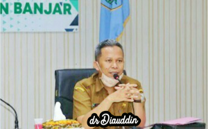 dr Diauddin, Kepala Dinas Kesehatan Kabupaten Banjar