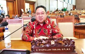 Syaifullah Tamliha, Ketua DPP PPP 