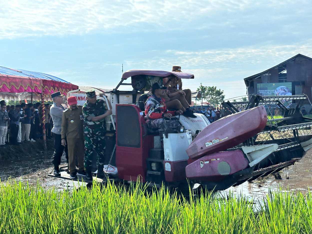 Dukung Ketahanan Pangan Nasional,  Pangdam VI/Mulawarman Panen Raya dan Tanam Serentak di Kalimantan Selatan