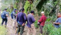 Polres Batola Lakukan Olah TKP Kasus Pencurian Plasma Sawit di Desa Kolam Kanan