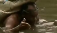 Kisah Menakjubkan Persahabatan Manusia dan Buaya: Dari Penyelamatan jadi Ikatan Abadi