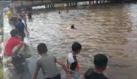 Buaya Muncul di Aliran Sungai Jafri Zam-Zam, Warga Diimbau Waspada