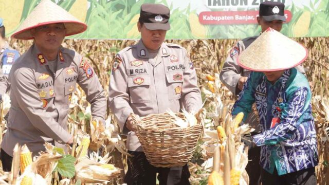 Kapolres Banjar Hadiri Panen Raya Jagung Serentak di Teluk Sanggar