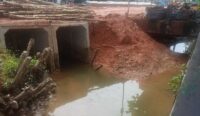 Sungai di Banjarmasin Dipersempit, Akademisi Soroti Proyek Revitalisasi tanpa Visi Ekologis